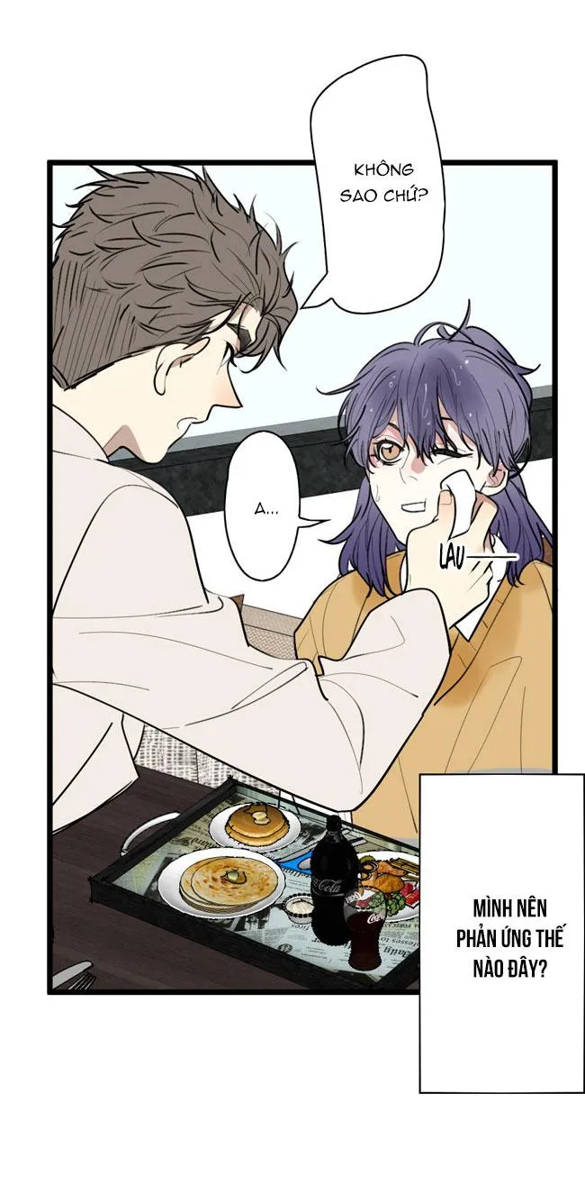 ĐẠI KIM CHỦ Chapter 10 Trang 3