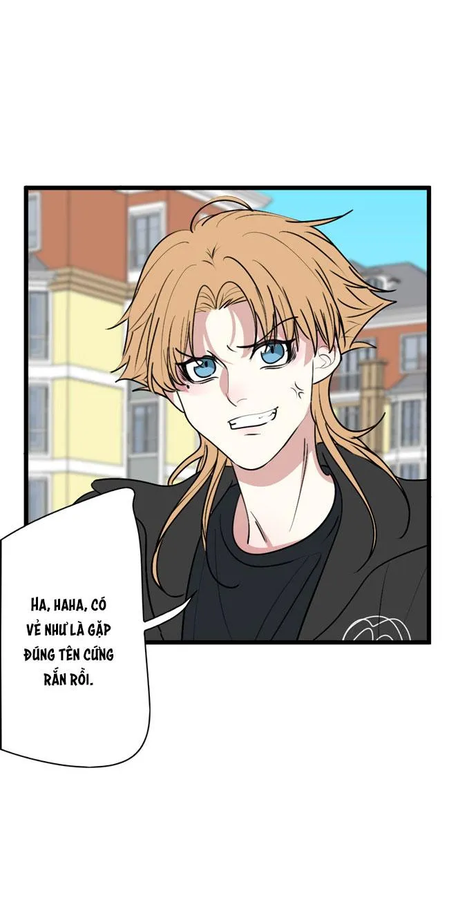 ĐẠI KIM CHỦ Chapter 11 Trang 11