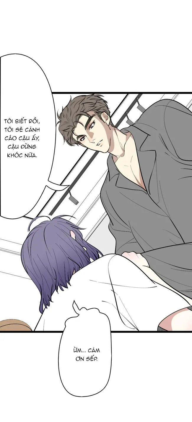 ĐẠI KIM CHỦ Chapter 11 Trang 18