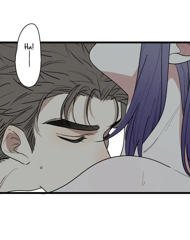 ĐẠI KIM CHỦ Chapter 12 Trang 7