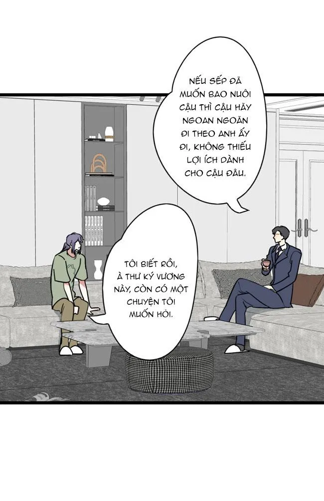 ĐẠI KIM CHỦ Chapter 12 Trang 17