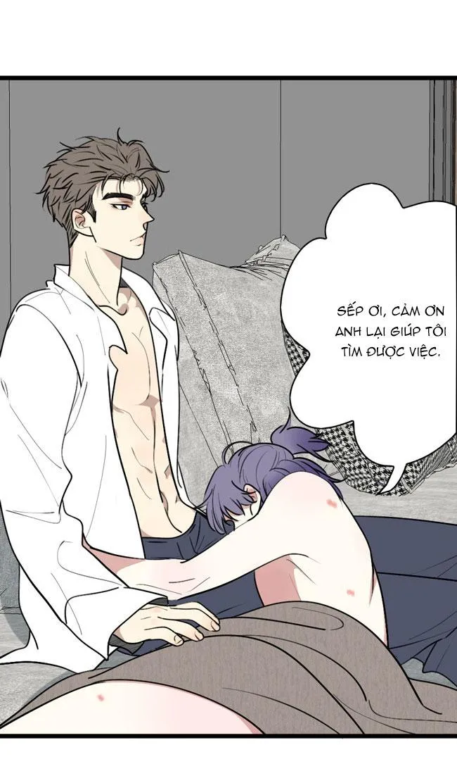 ĐẠI KIM CHỦ Chapter 13 Trang 11