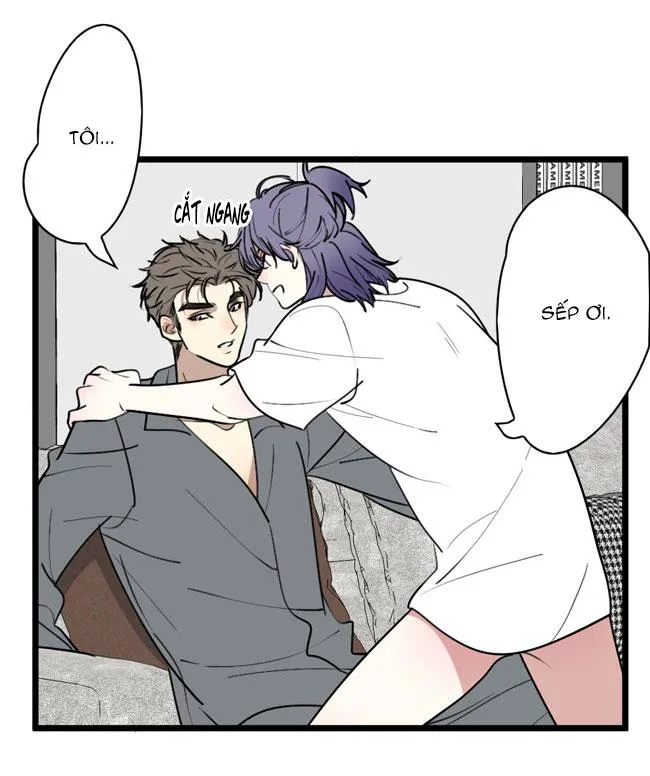 ĐẠI KIM CHỦ Chapter 15 Trang 16