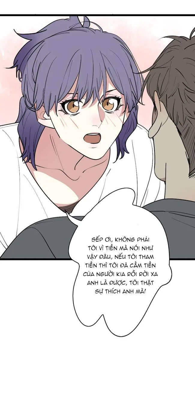 ĐẠI KIM CHỦ Chapter 16 Trang 12