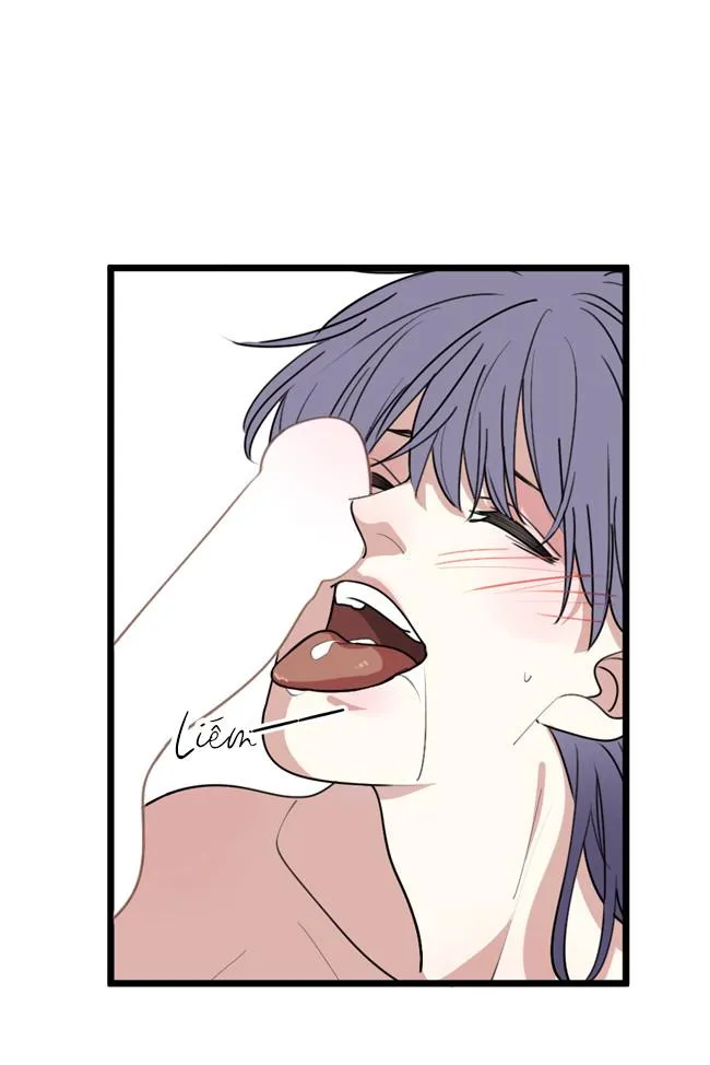 ĐẠI KIM CHỦ Chapter 1 Trang 18