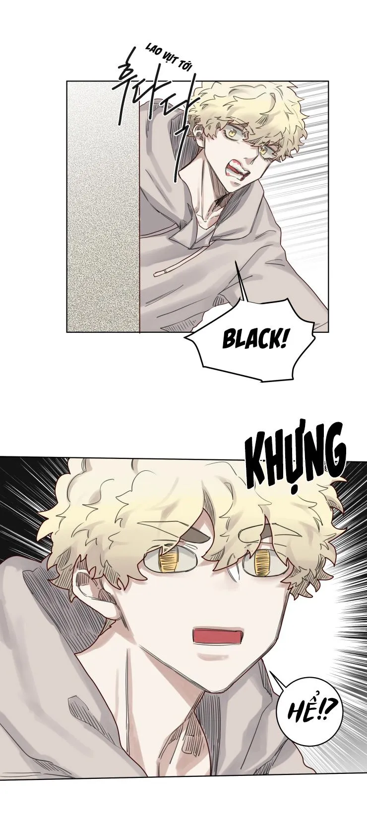 Đại Pháp Sư Theo Một Cách Khác Chapter 11 Trang 14