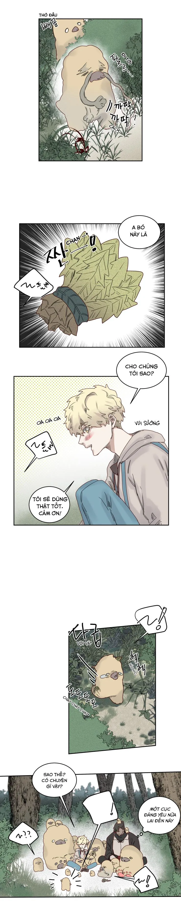 Đại Pháp Sư Theo Một Cách Khác Chapter 15 Trang 12