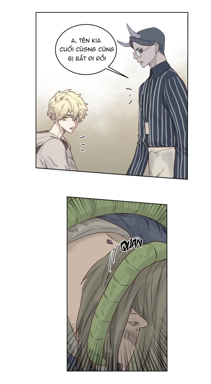 Đại Pháp Sư Theo Một Cách Khác Chapter 19 Trang 12