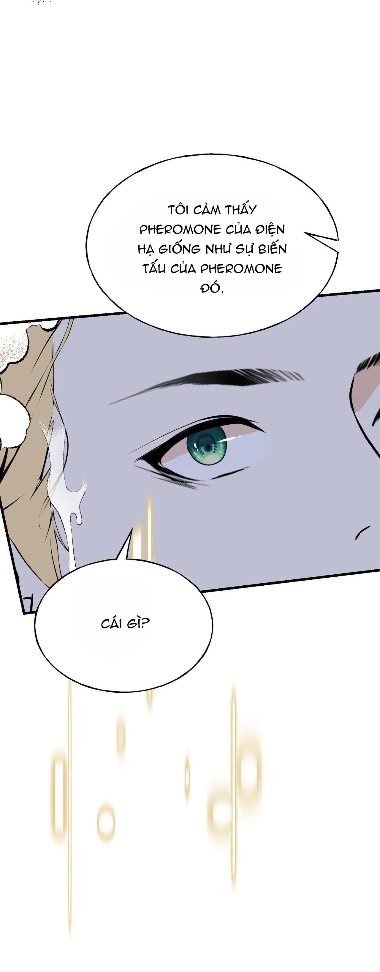 (ABO) ĐÁM CƯỚI HOÀNG GIA Chapter 13 Trang 14