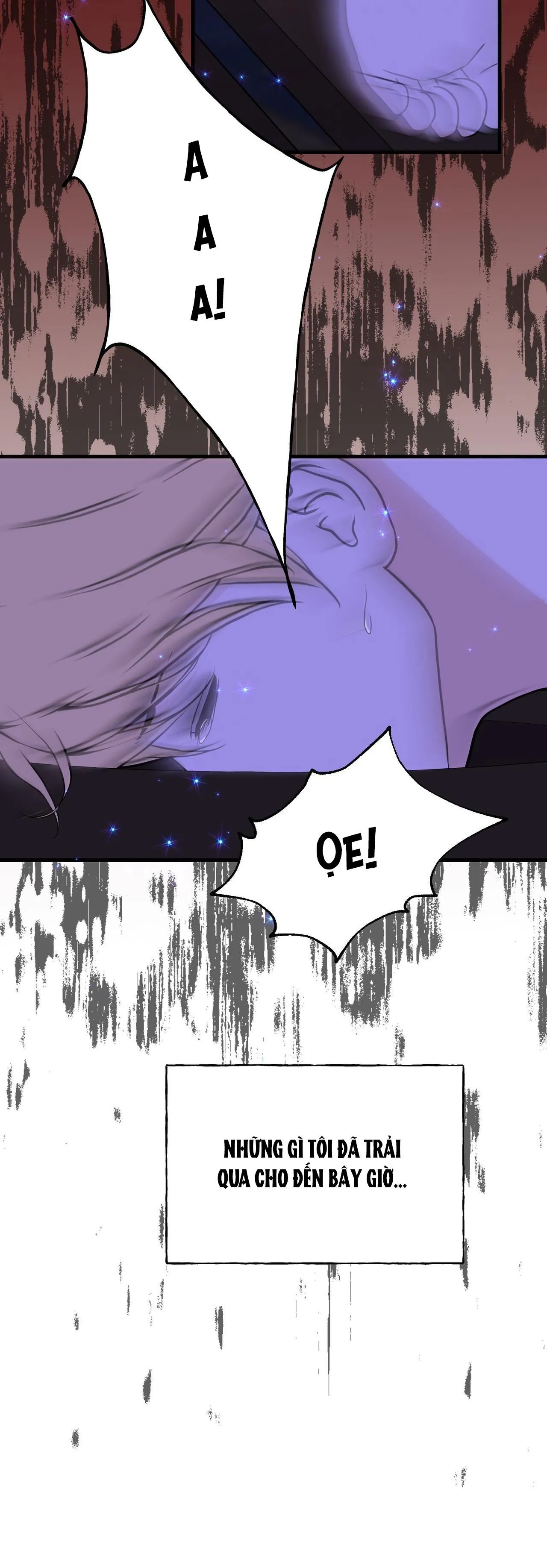 (ABO) ĐÁM CƯỚI HOÀNG GIA Chapter 19 Trang 14