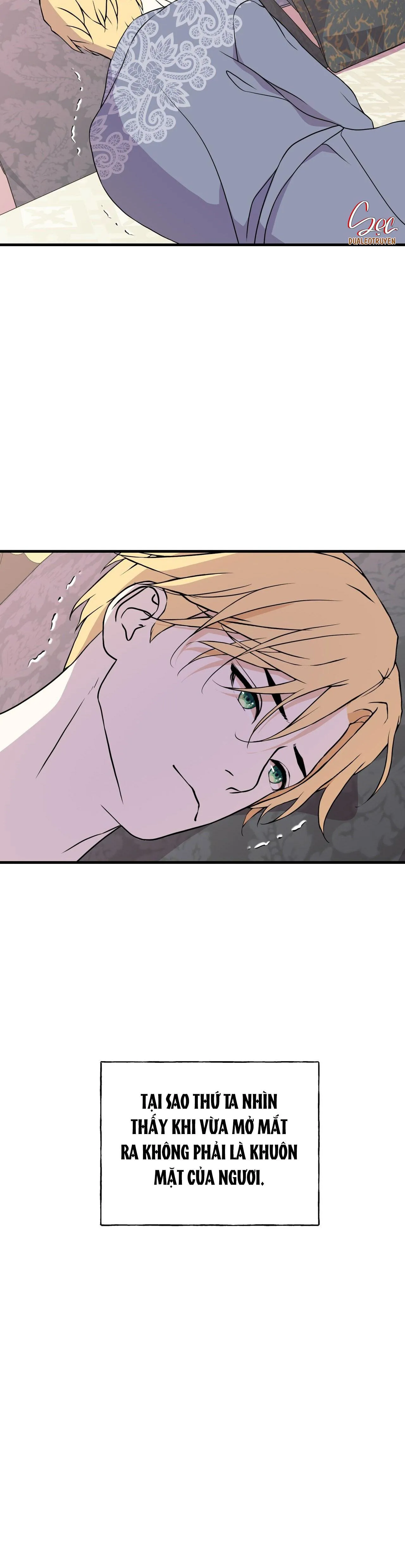 (ABO) ĐÁM CƯỚI HOÀNG GIA Chapter 20 Trang 12