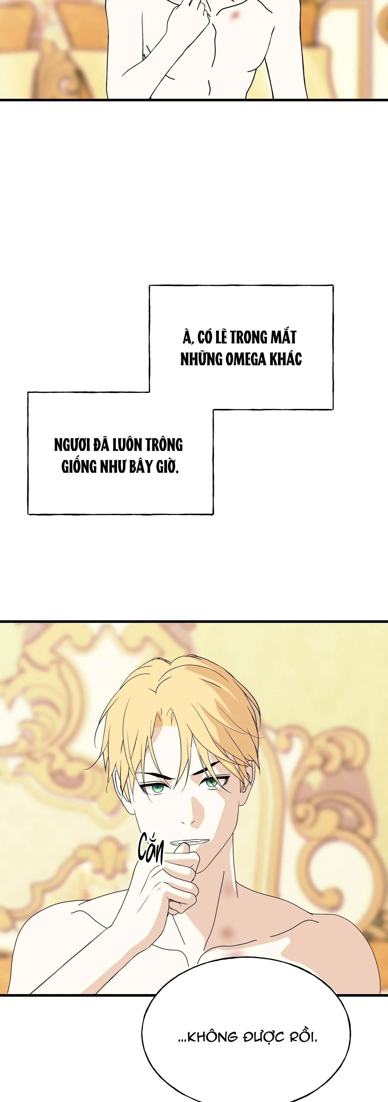 (ABO) ĐÁM CƯỚI HOÀNG GIA Chapter 29 Trang 16