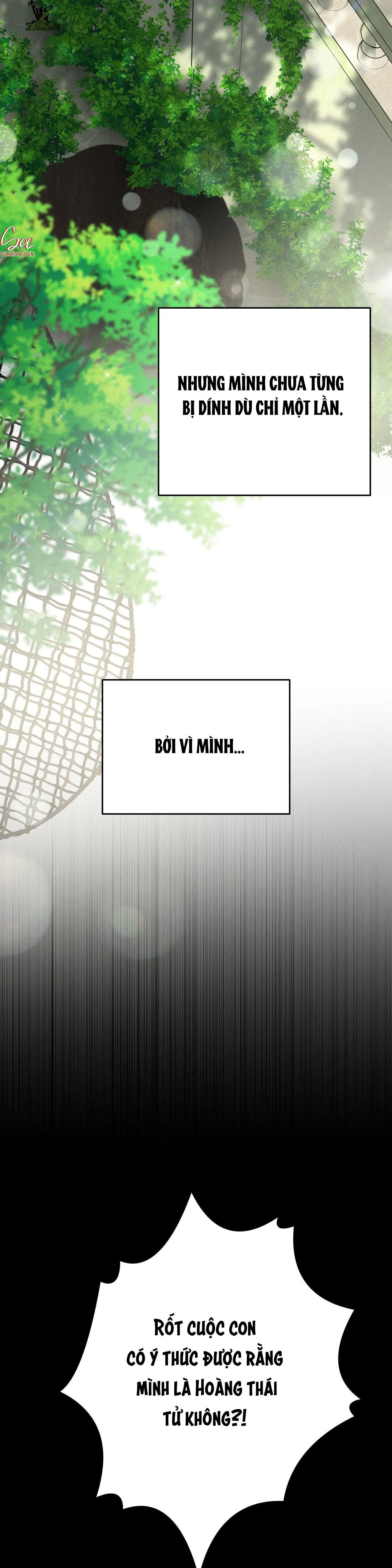 ĐÁM CƯỚI TAI TIẾNG Chapter 23 Trang 23