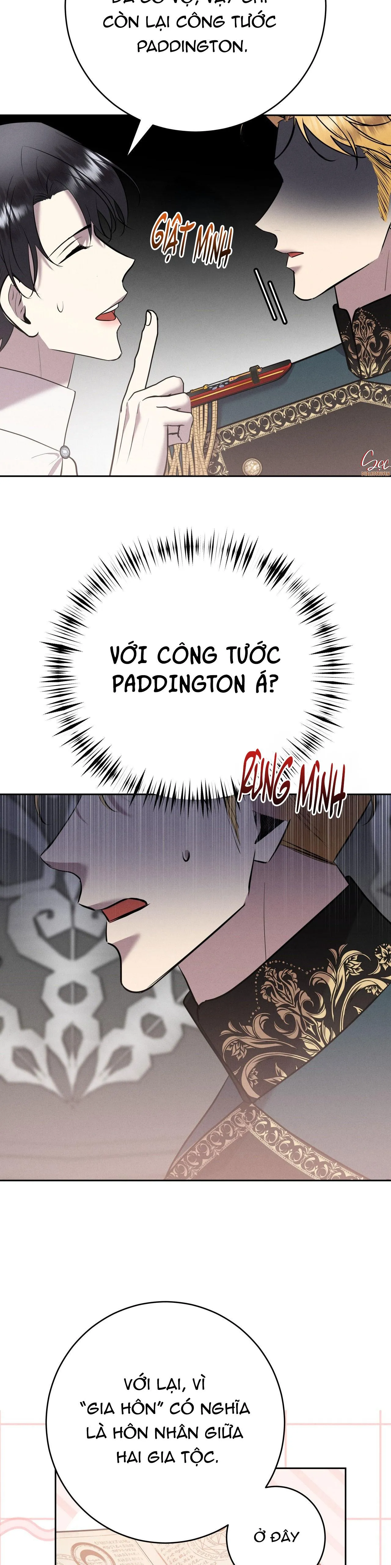 ĐÁM CƯỚI TAI TIẾNG Chapter 30 Trang 27