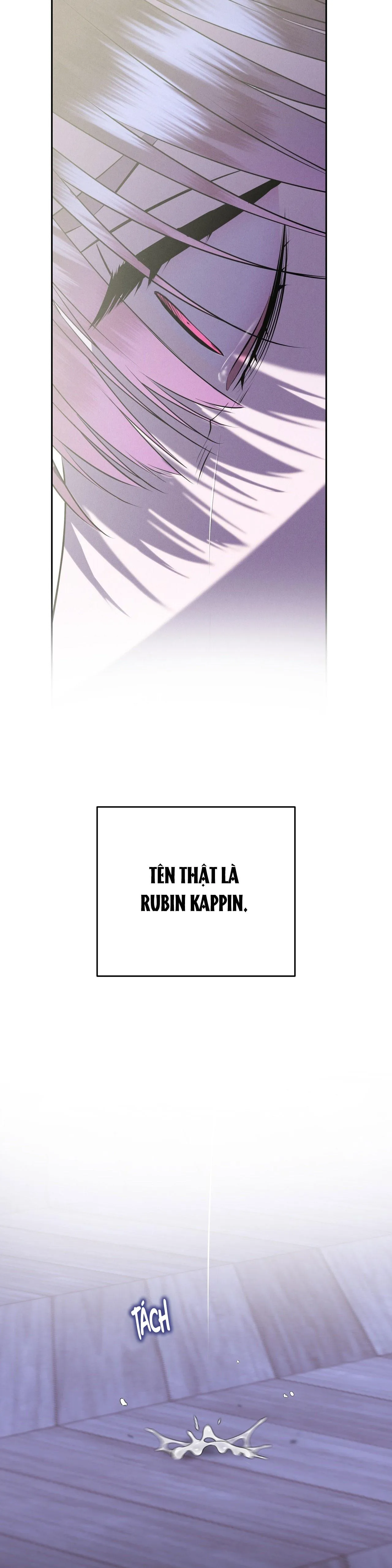 ĐÁM CƯỚI TAI TIẾNG Chapter 37 Trang 13