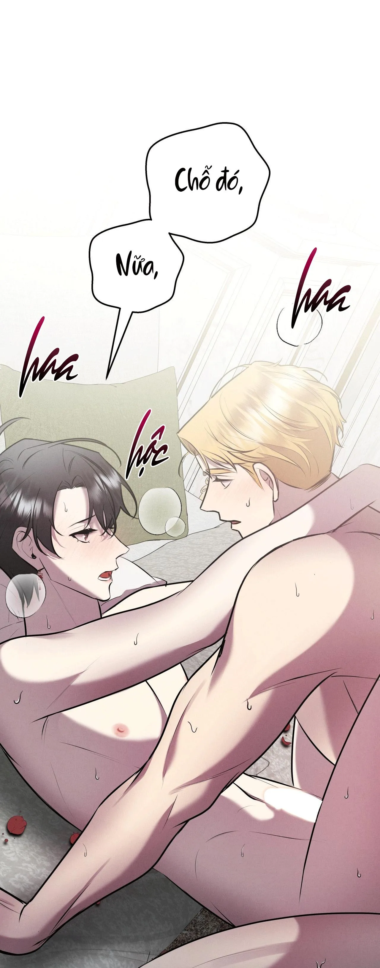 ĐÁM CƯỚI TAI TIẾNG Chapter 40 Trang 13