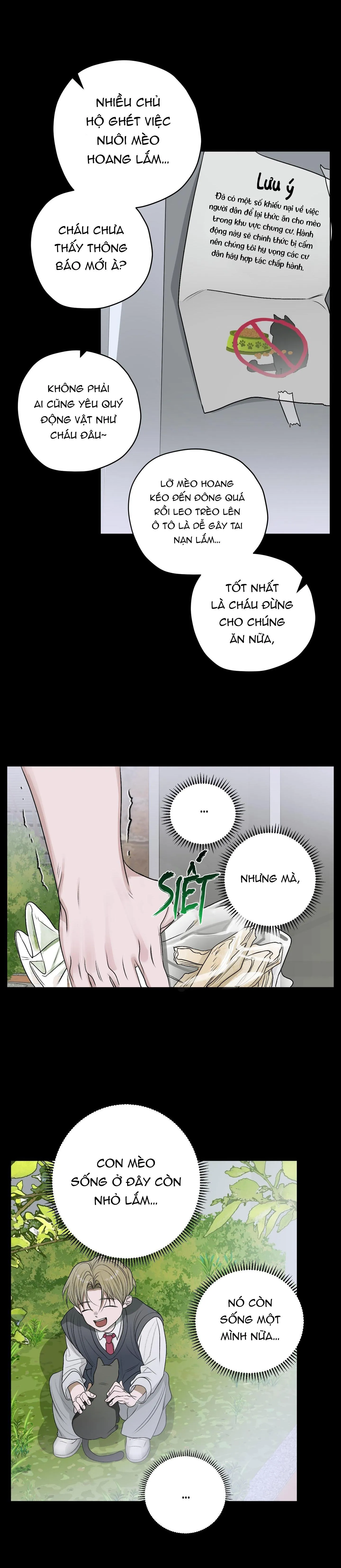 Đầm Hoa Sen Chapter 26 Trang 3