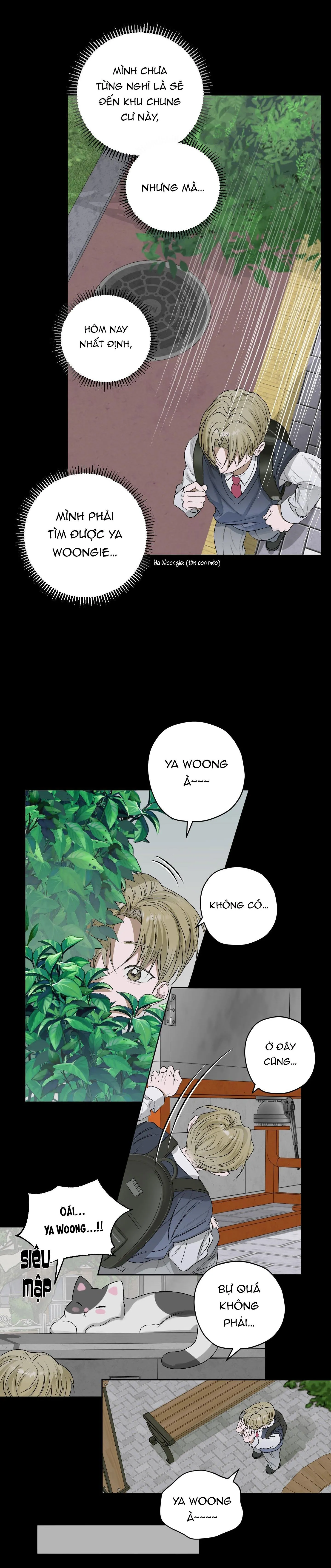 Đầm Hoa Sen Chapter 26 Trang 11