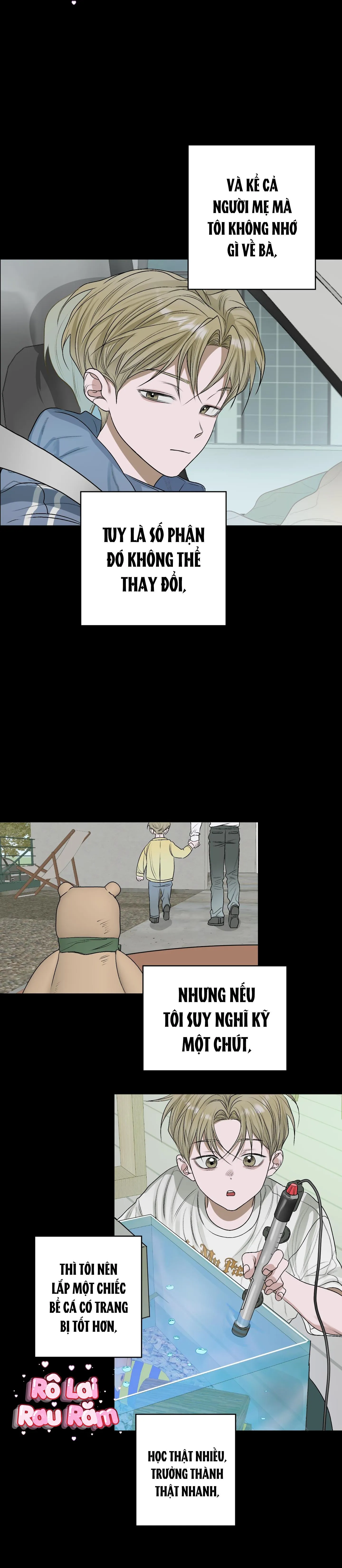 Đầm Hoa Sen Chapter 27 Trang 17