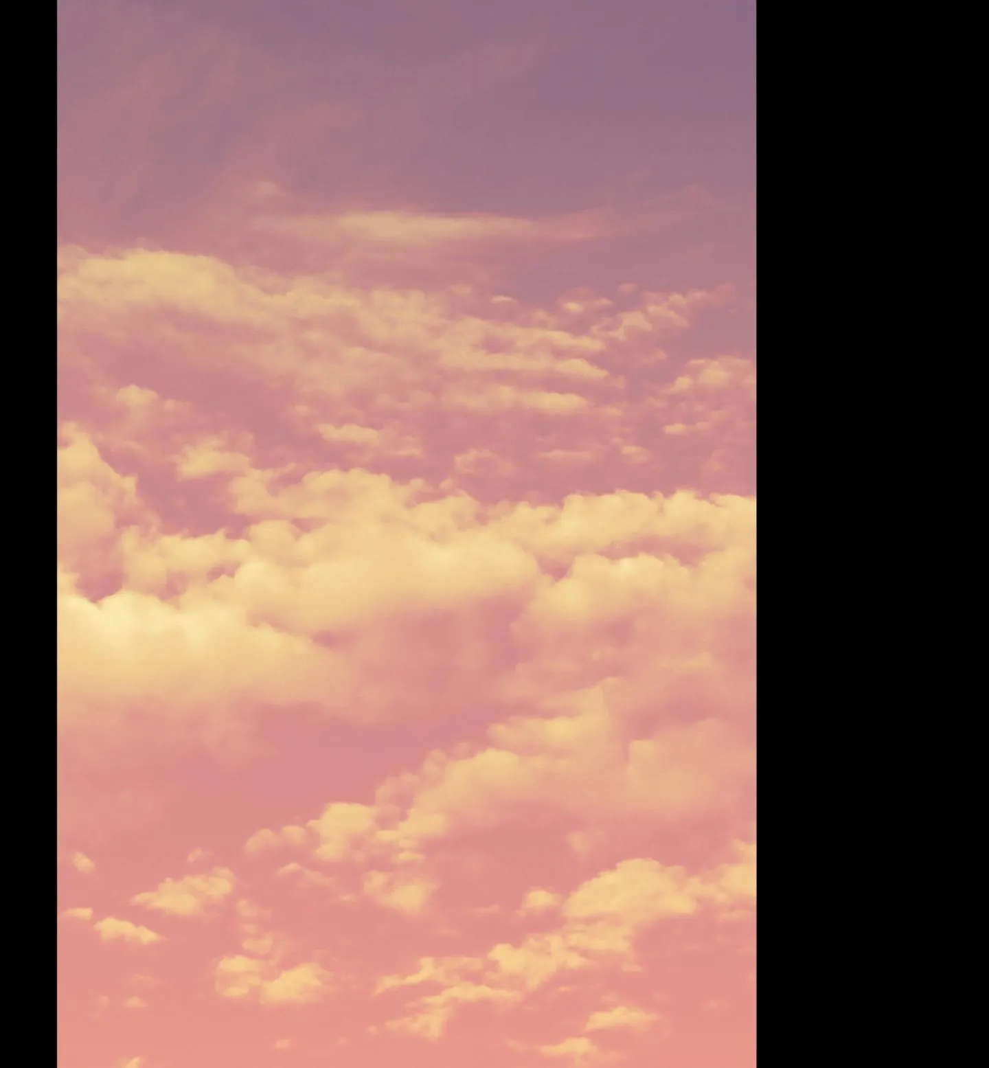 Đầm Hoa Sen Chapter 51 Trang 18