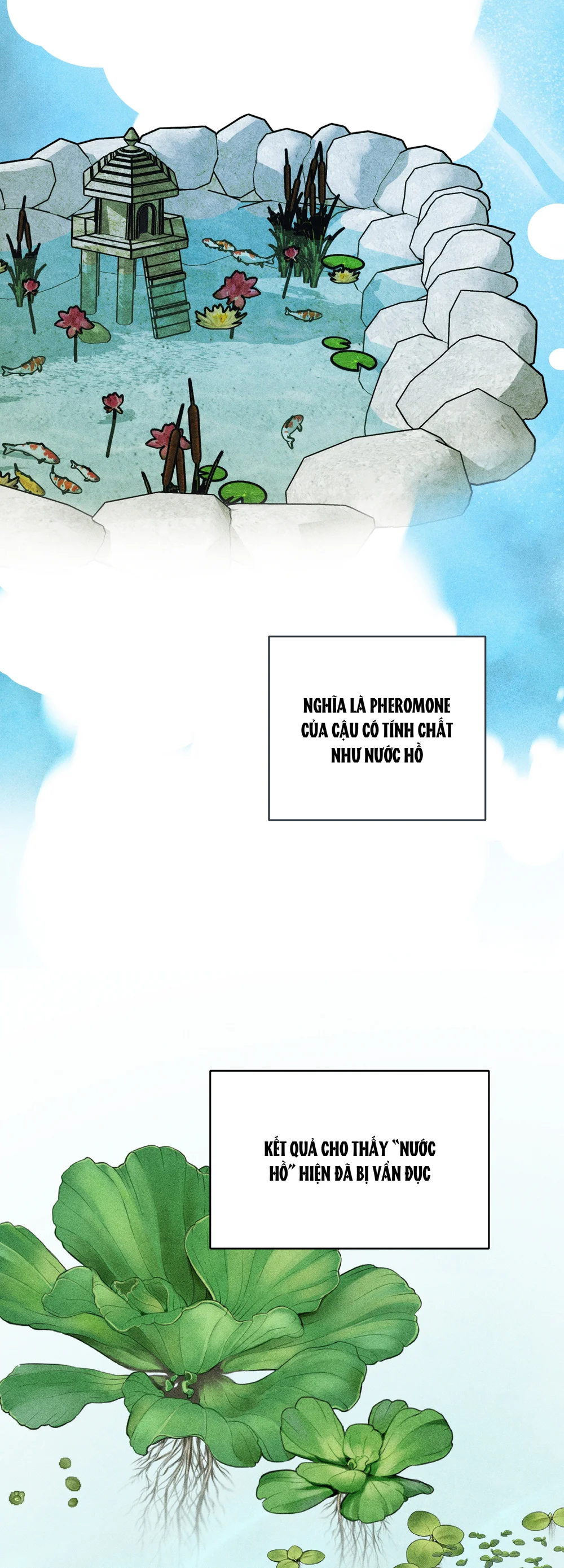 Đầm Hoa Sen Chapter 65 Trang 11