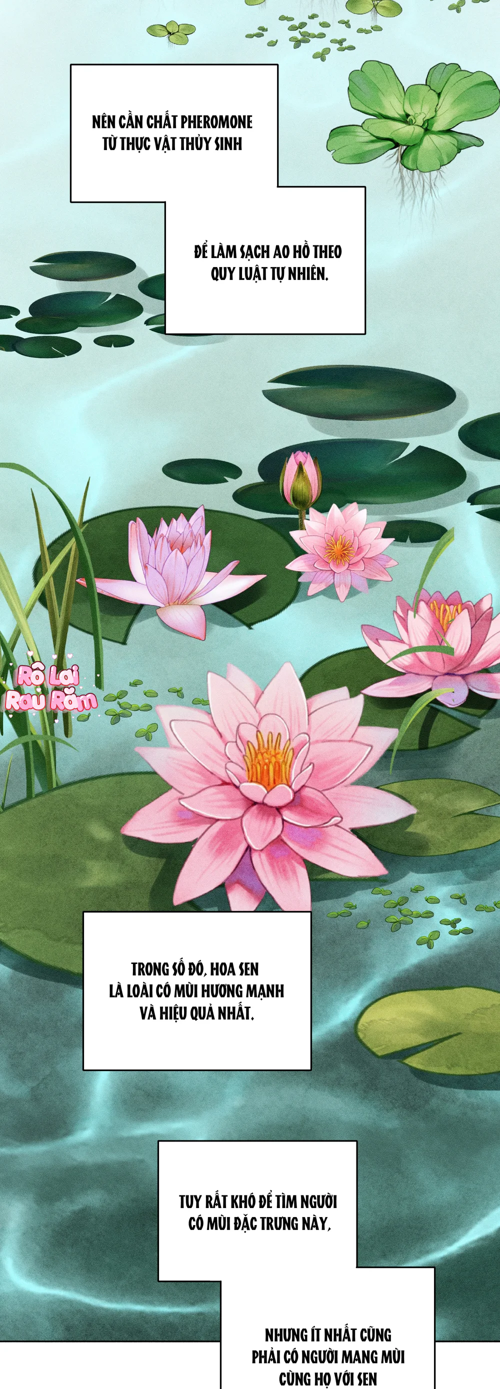 Đầm Hoa Sen Chapter 65 Trang 12