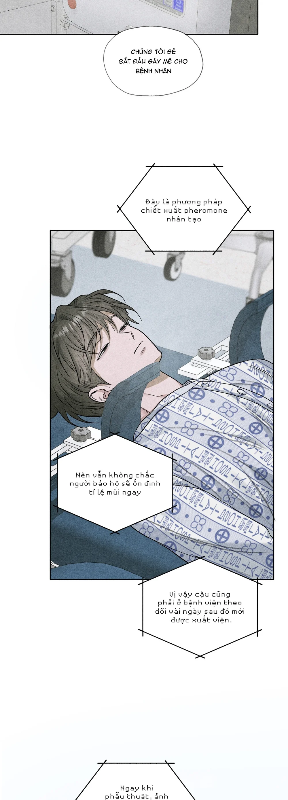 Đầm Hoa Sen Chapter 66 Trang 11