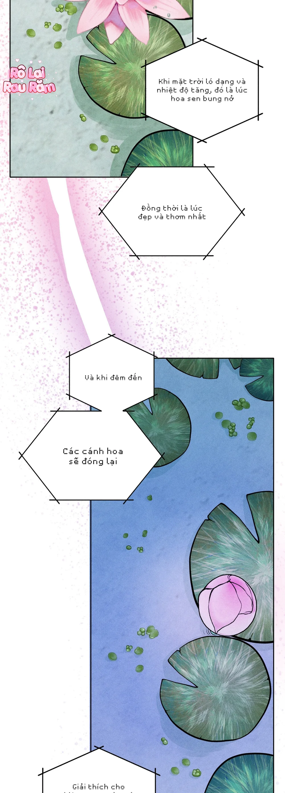 Đầm Hoa Sen Chapter 66 Trang 15