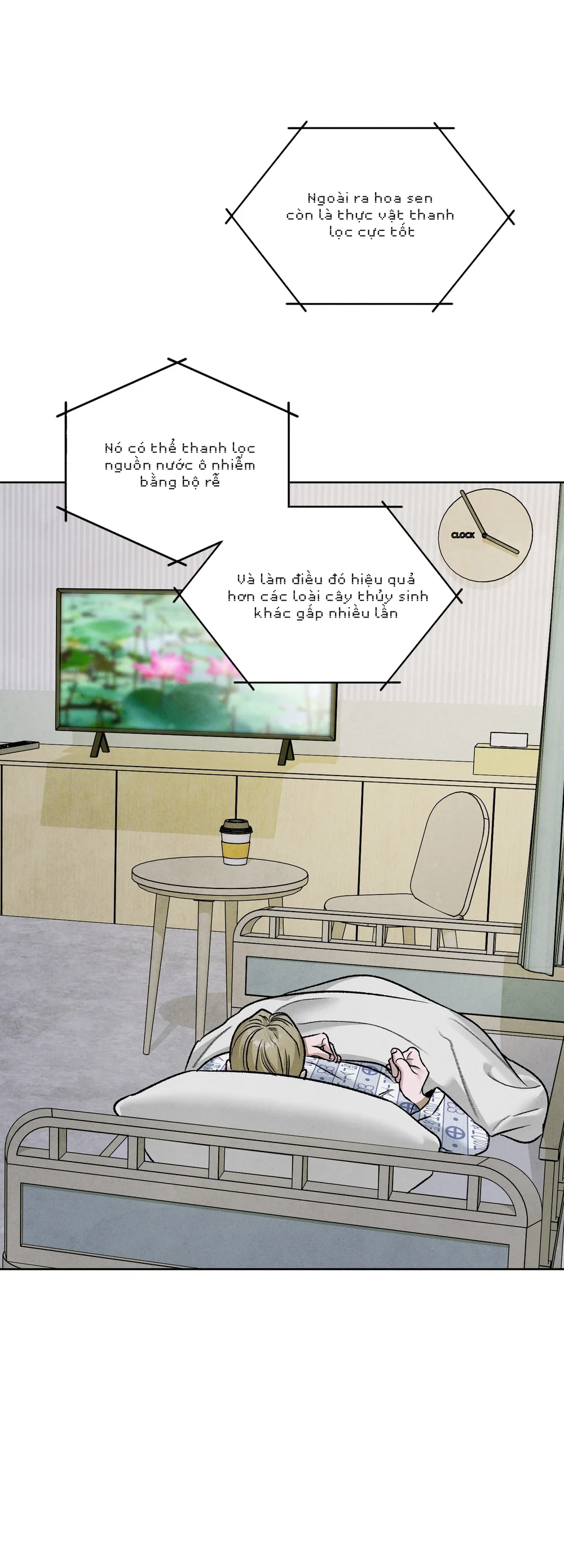 Đầm Hoa Sen Chapter 66 Trang 17