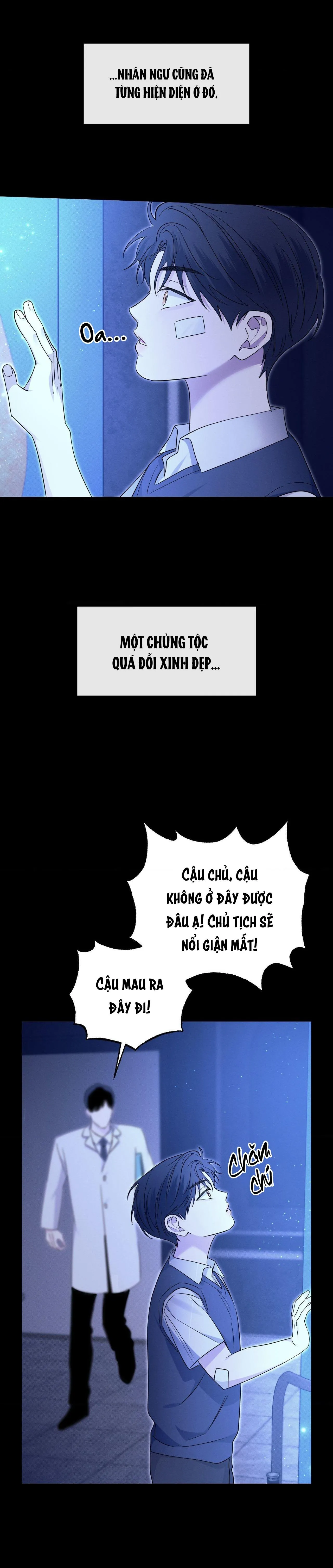 ĐẦM LẦY NHÂN NGƯ Chapter 17 Trang 5