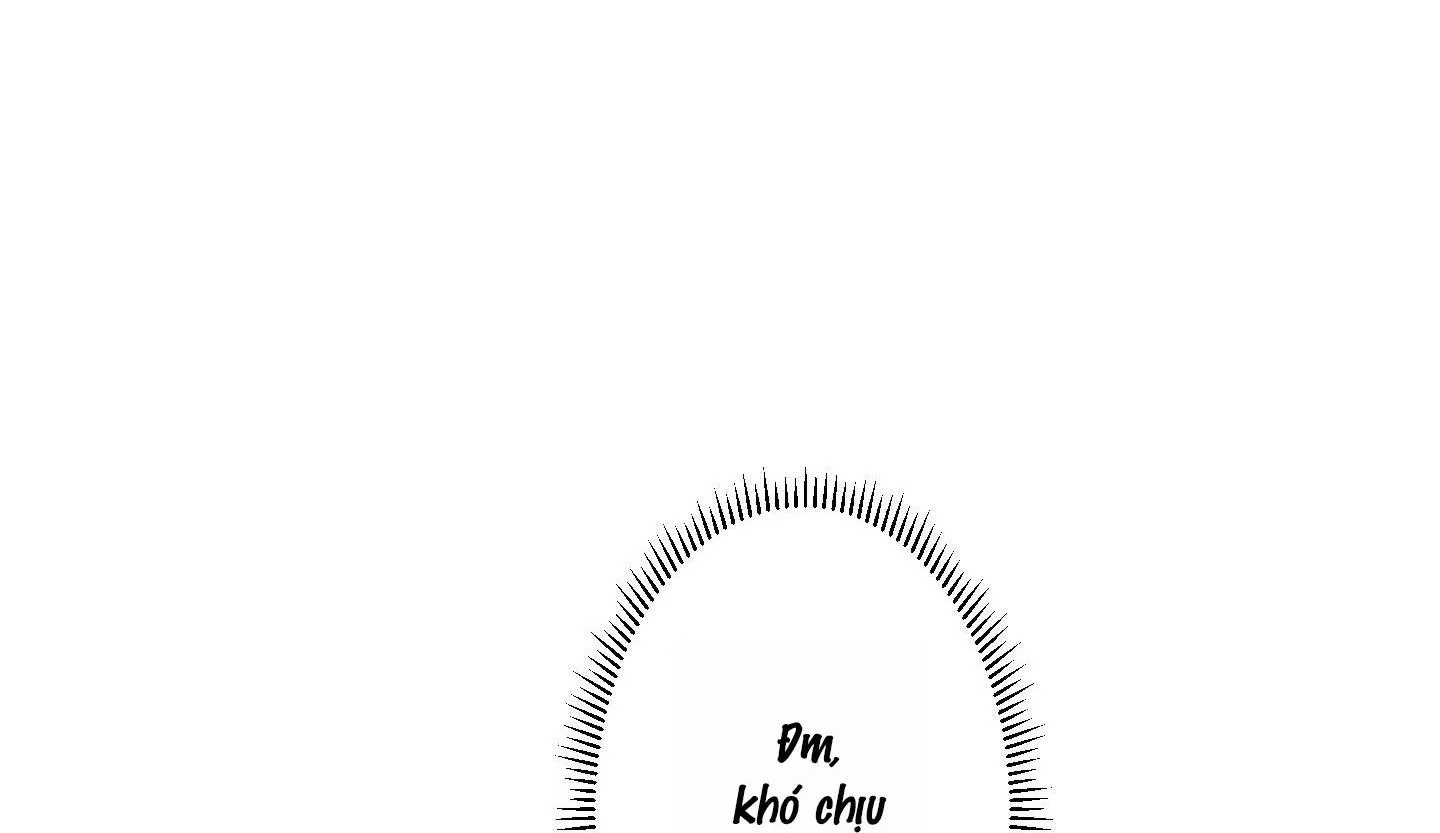 Đầm Sen Héo Úa Chapter 8 Trang 32