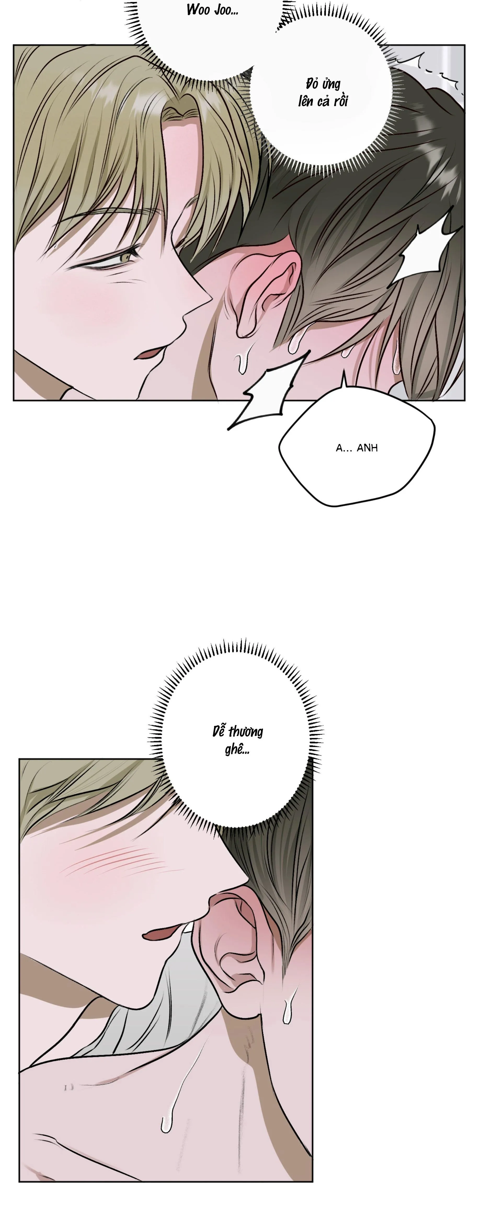 Đầm Sen Héo Úa Chapter 13 Trang 19