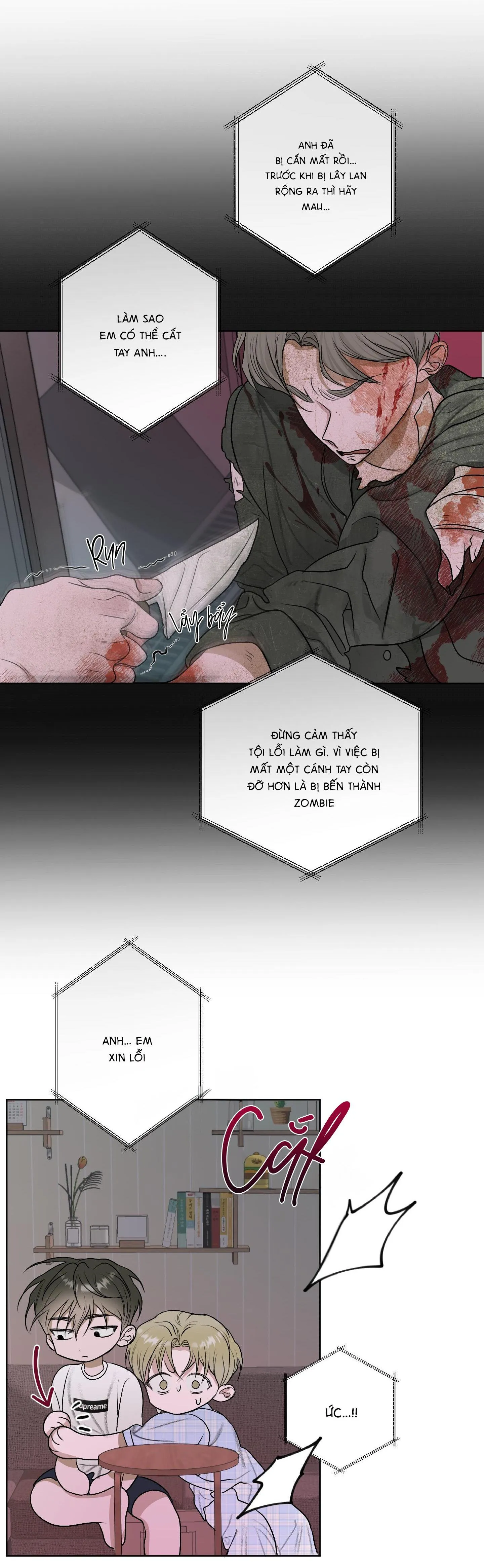 Đầm Sen Héo Úa Chapter 18 Trang 13