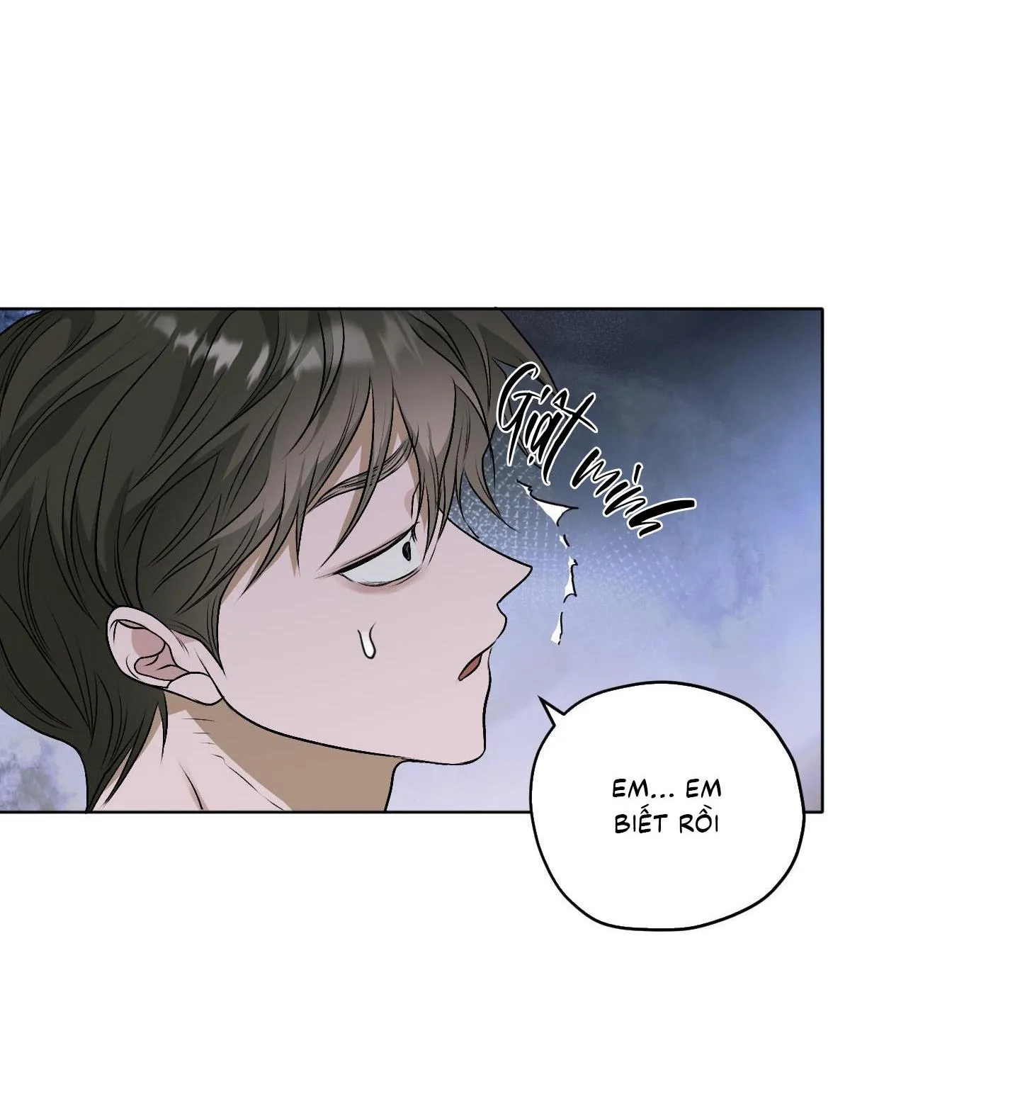 Đầm Sen Héo Úa Chapter 30 Trang 17