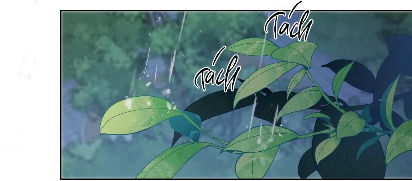 Đầm Sen Héo Úa Chapter 42 Trang 80