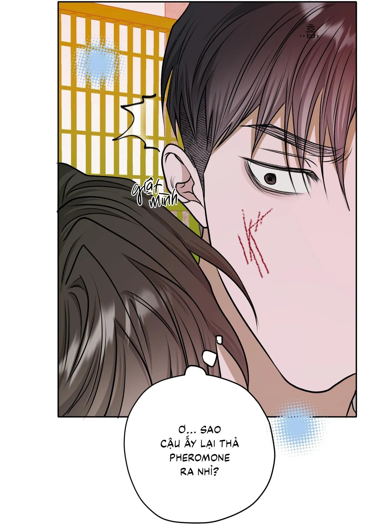 Đầm Sen Héo Úa Chapter 45 Trang 70