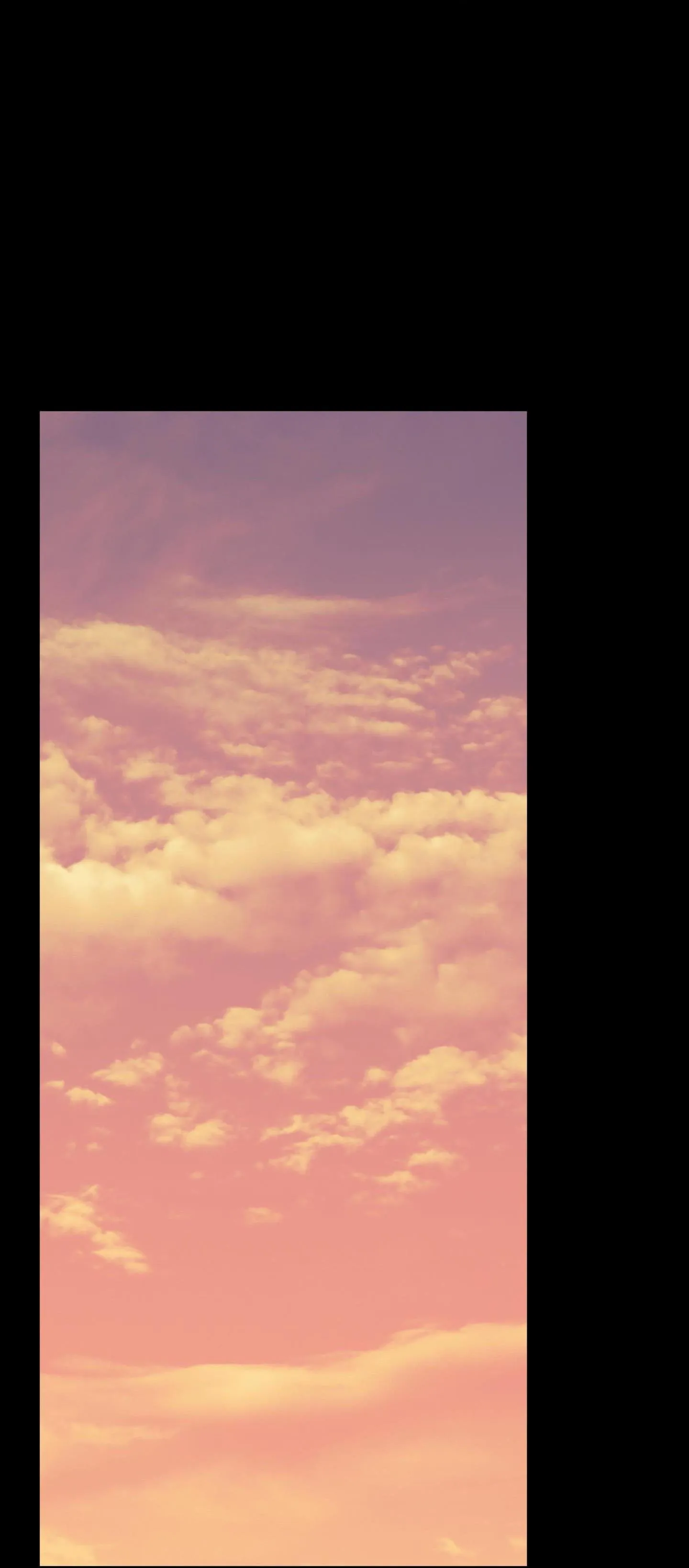 Đầm Sen Héo Úa Chapter 51 Trang 12