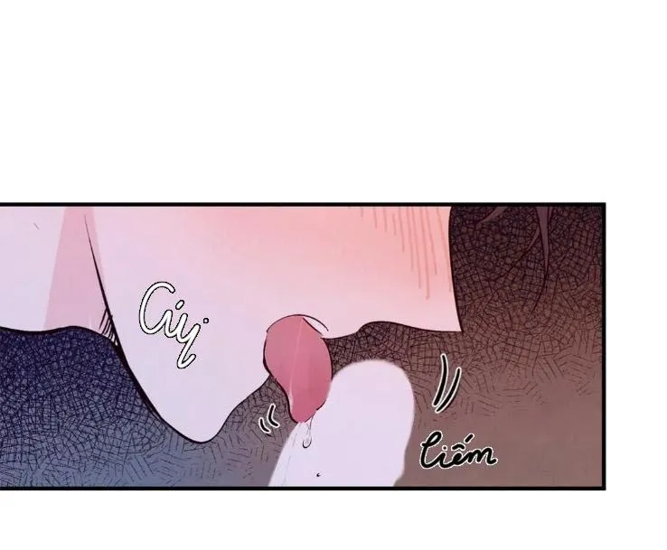 Đậm Tình Nồng Say [on-going] Chapter 17 Trang 64