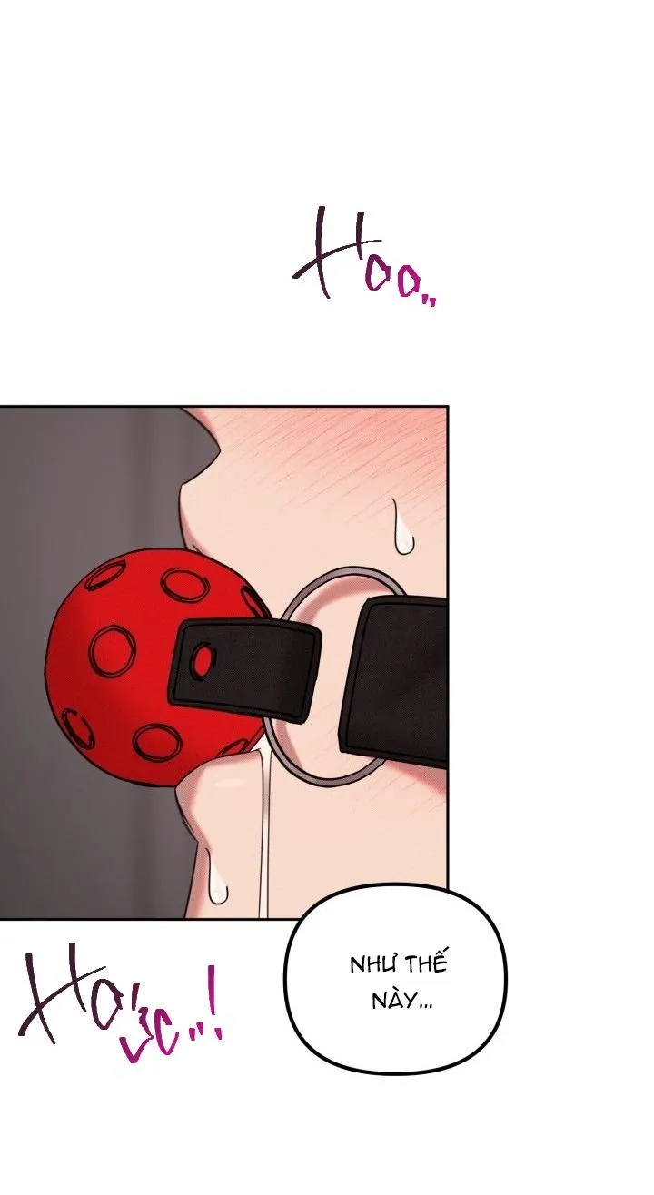 DAMM DIRTY DUMM Chapter 14 Trang 31