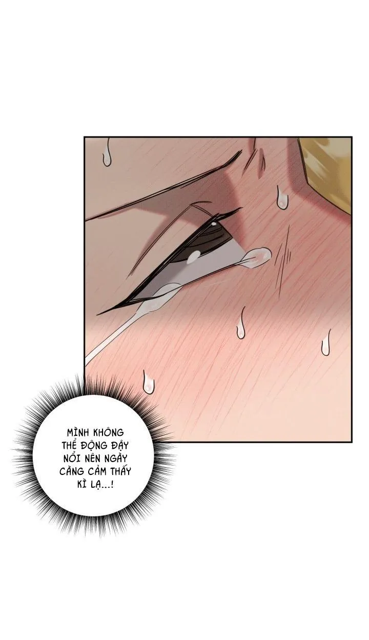 DAMM DIRTY DUMM Chapter 14 Trang 51