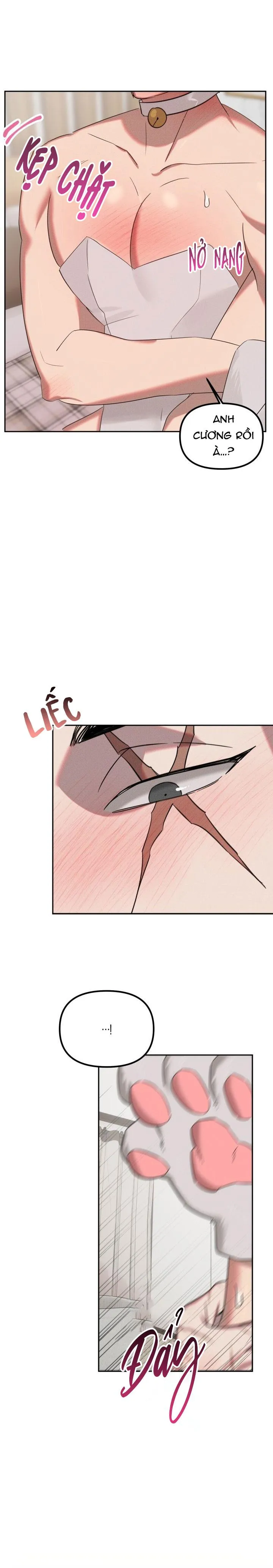 DAMM DIRTY DUMM Chapter 16 Trang 3