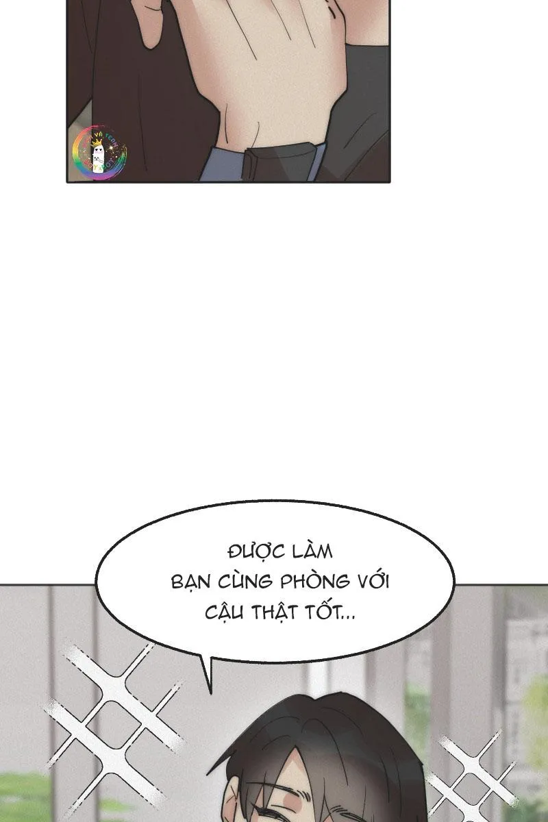 (END) Đàn Anh Sói Ca Cùng Phòng Của Tôi Chapter 2 Trang 24