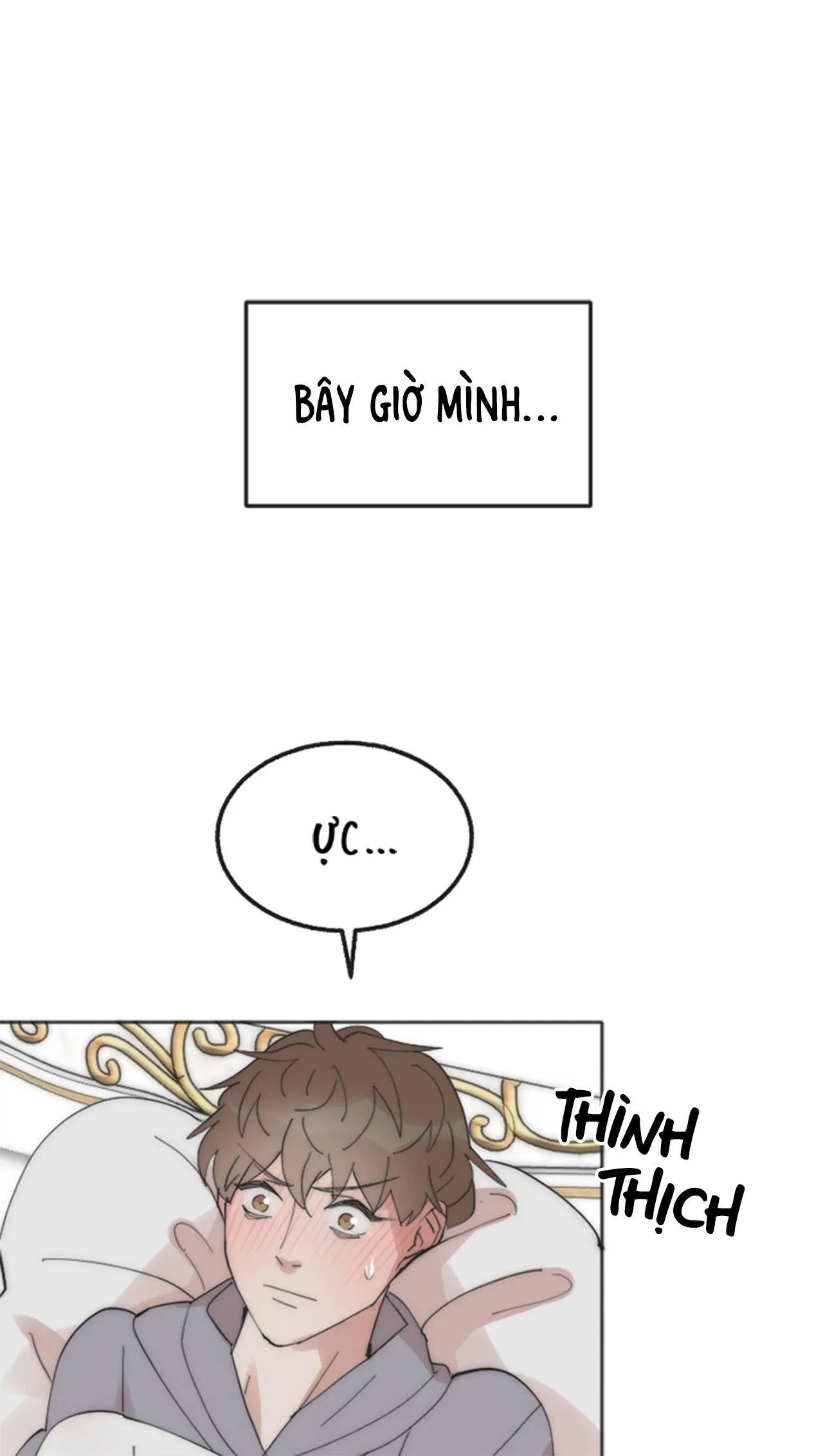 (END) Đàn Anh Sói Ca Cùng Phòng Của Tôi Chapter 13 Trang 45