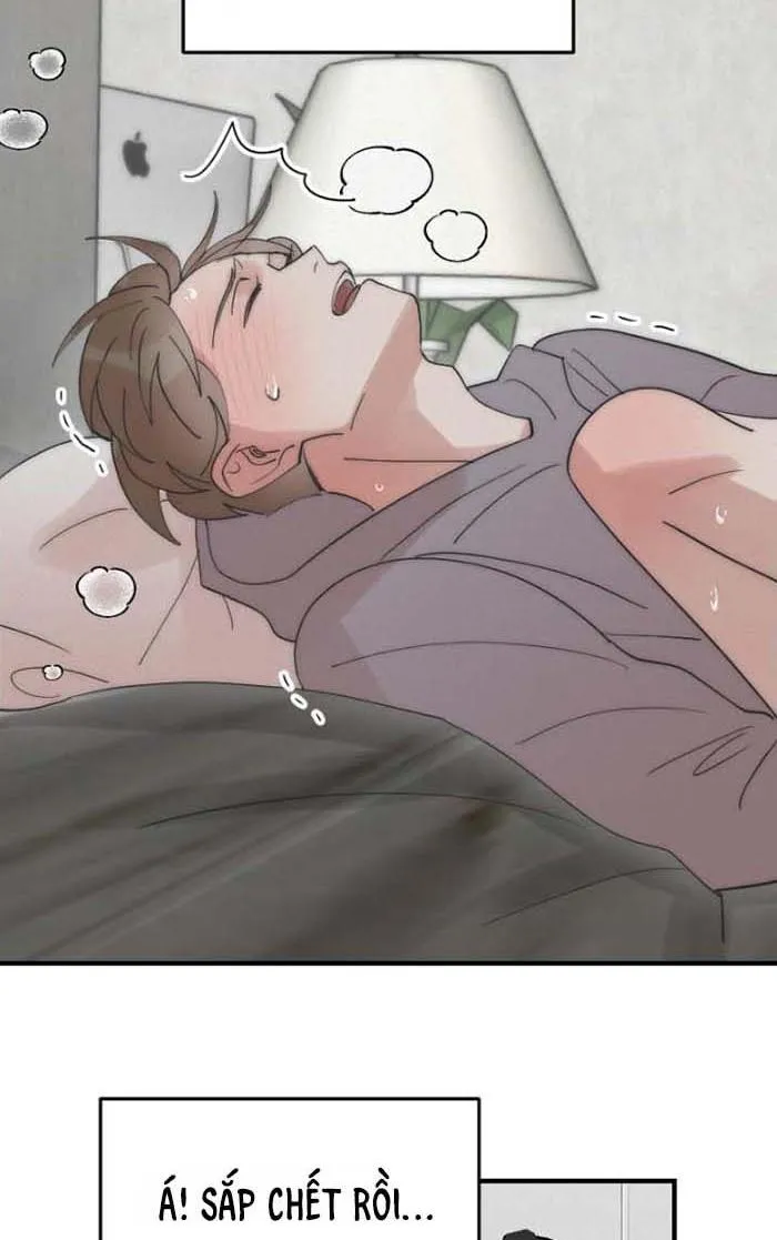 (END) Đàn Anh Sói Ca Cùng Phòng Của Tôi Chapter 14 Trang 14