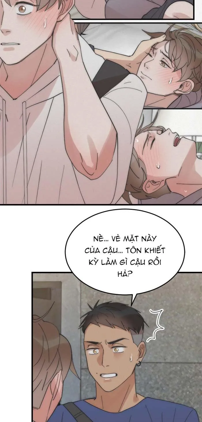 (END) Đàn Anh Sói Ca Cùng Phòng Của Tôi Chapter 14 Trang 32
