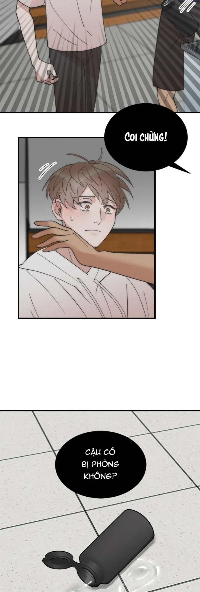 (END) Đàn Anh Sói Ca Cùng Phòng Của Tôi Chapter 14 Trang 41