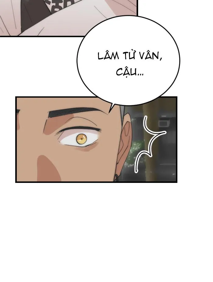 (END) Đàn Anh Sói Ca Cùng Phòng Của Tôi Chapter 19 Trang 22