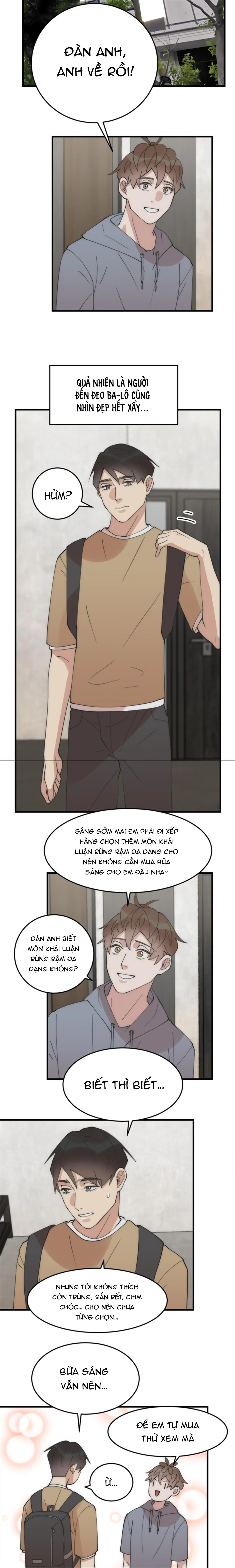 (END) Đàn Anh Sói Ca Cùng Phòng Của Tôi Chapter 20 Trang 7