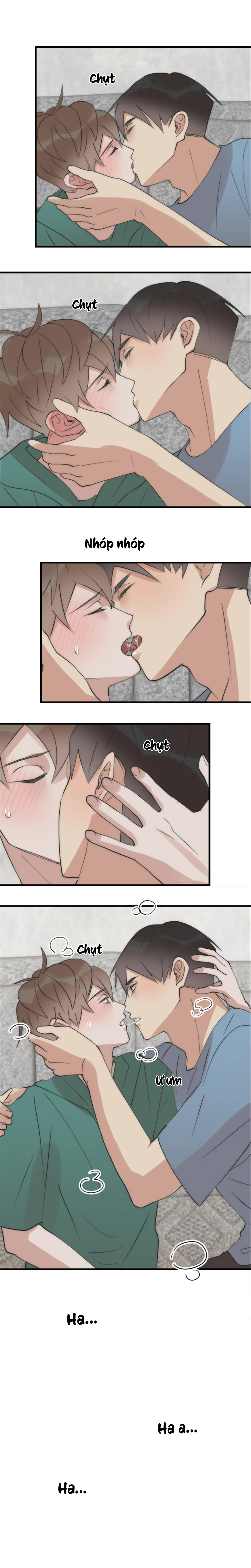 (END) Đàn Anh Sói Ca Cùng Phòng Của Tôi Chapter 20 Trang 17