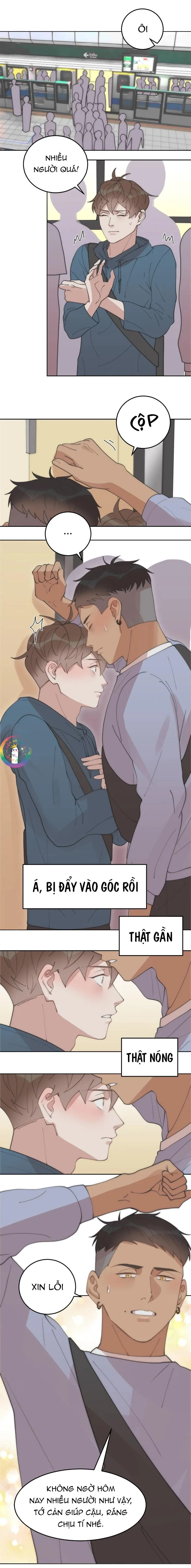 (END) Đàn Anh Sói Ca Cùng Phòng Của Tôi Chapter 28 Trang 12